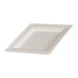 BIO SUGARCANE QUADRATISCHE PLATTEN 20cm 10X50St.