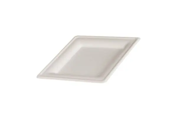 BIO SUGARCANE QUADRATISCHE PLATTEN 20cm 10X50St.