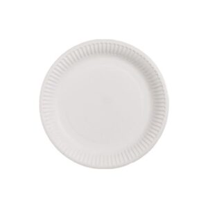 Pappteller 20,5CM - FSC MIX P6.7